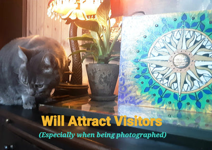 "Easy Like Sunday Morning" (2025)